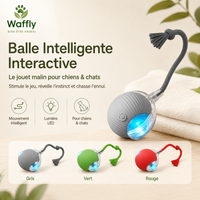 Balle intelligente interactive avec lumière LED et corde, disponible en gris, vert et rouge pour chiens et chats