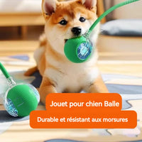Balle rassurante pour chien ou chat contre la solitude . Chien et chat anxieux