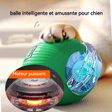 Balle rassurante pour chien ou chat contre la solitude . Chien et chat anxieux