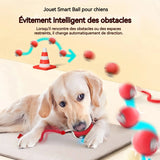 Balle rassurante pour chien ou chat contre la solitude . Chien et chat anxieux