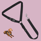 Ceinture de sécurité voiture pour chien ou chat