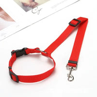 Ceinture de sécurité voiture pour chien ou chat