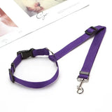 Ceinture de sécurité voiture pour chien ou chat