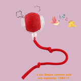 Balle rassurante pour chien ou chat contre la solitude . Chien et chat anxieux