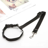 Ceinture de sécurité voiture pour chien ou chat