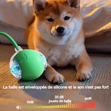 Balle rassurante pour chien ou chat contre la solitude . Chien et chat anxieux