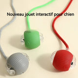 Balle rassurante pour chien ou chat contre la solitude . Chien et chat anxieux