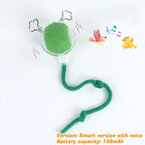 Balle rassurante pour chien ou chat contre la solitude . Chien et chat anxieux