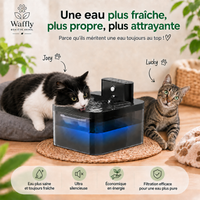 Fontaine à eau intelligente pour chat et chien – eau propre et renouvelée 