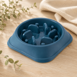 Gamelle anti-glouton pour chien et chat forme carré coloris bleu