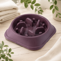 Gamelle anti-glouton pour chien et chat forme carré coloris violet