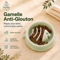 La Gamelle Anti-Glouton pour chien et chat ralentit naturellement la prise alimentaire pour des repas plus sereins.