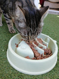 Gamelle anti-glouton en cours d'utilisation par le chat lucky avec de la pâté