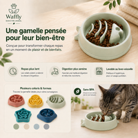 La gamelle anti-glouton est disponible en plusieurs formes et coloris pour tout les goûts.