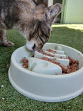 Gamelle anti-glouton parfait pour la digestion du chat lucky