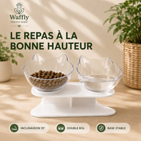 Gamelles doubles surélevées et inclinées à 15° pour chat et petits chien, support stable, plusieurs coloris au choix.