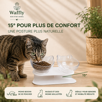 Chat mangeant dans une gamelle surélevée inclinée à 15°, favorisant une posture plus naturelle et confortable. bol double transparent, support blanc. Plusieurs coloris aux choix.