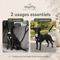 Attache de sécurité 2-en-1 utilisée en voiture et comme laisse d’appoint pour une courte promenade avec un chien.