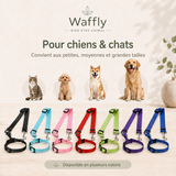 Attache de sécurité pour chiens et chats disponible en plusieurs coloris et adaptée aux animaux de différentes tailles.