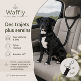 Titus le chien installé sur la banquette arrière avec une attache de sécurité réglable fixée à son harnais et à l’appuie-tête.