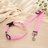 Laisse-ceinture de sécurité 2-en-1 pour chien – coloris rose