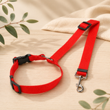 Laisse-ceinture de sécurité 2-en-1 pour chien – coloris rouge