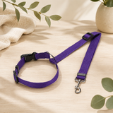 Laisse-ceinture de sécurité 2-en-1 pour chien – coloris violet