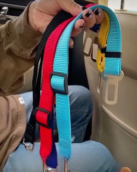 Ceinture de sécurité voiture pour chien ou chat