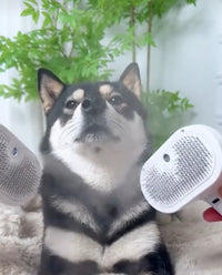 SteamBrush™ - Brosse de massage vapeur . Toilettage sans stress pour chien et chat.