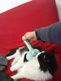 SteamBrush™ - Brosse de massage vapeur . Toilettage sans stress pour chien et chat.