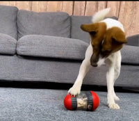 Ditributeur de croquette alliant santé , agilité et réconfort contre la solitude de ton chien