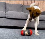 Ditributeur de croquette alliant santé , agilité et réconfort contre la solitude de ton chien