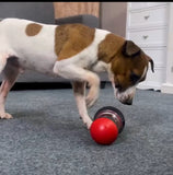 Ditributeur de croquette alliant santé , agilité et réconfort contre la solitude de ton chien