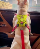 Ceinture de sécurité voiture pour chien ou chat
