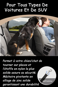 Ceinture de sécurité voiture pour chien ou chat