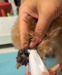 PawTrim™ - Tondeuse électrique silencieuse pour pattes de chien ou de chat. Anti stress.