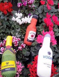 Jouet en peluche rigolo et apaisant pour chien