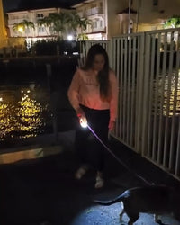 FlexiLED Laisse rétractable avec LED.  Les balades de nocturnes en toute sécurité avec ton chien .