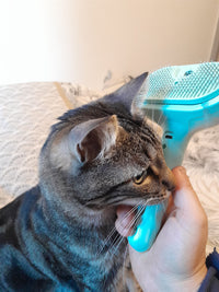 SteamBrush™ - Brosse de massage vapeur . Toilettage sans stress pour chien et chat.