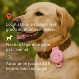 PetTrack™ - Traceur GPS intelligent pour chien et chat