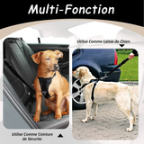 Ceinture de sécurité voiture pour chien ou chat