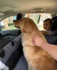 Panier de siège pour voiture. Pour la sécurité de votre chien ou votre chat