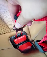 Ceinture de sécurité voiture pour chien ou chat