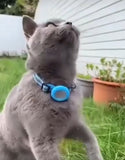PetTrack™ - Traceur GPS intelligent pour chien et chat