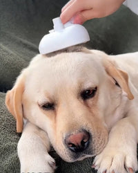 SteamBrush™ - Brosse de massage vapeur . Toilettage sans stress pour chien et chat.