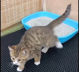 LitiPro™ - Tapis de litière imperméable pour chat. Fini les cailloux dans toute la maison