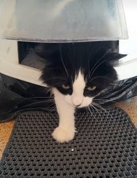 LitiPro™ - Tapis de litière imperméable pour chat. Fini les cailloux dans toute la maison